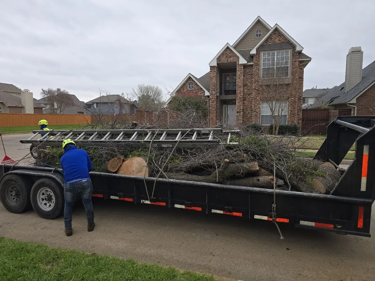 Expert Tree Removal with proper safety equipment in Garfield